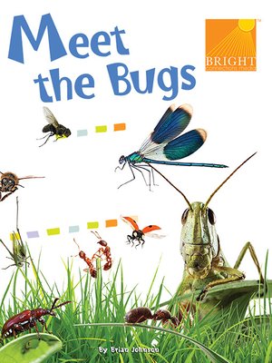 cover image of Meet the Bugs